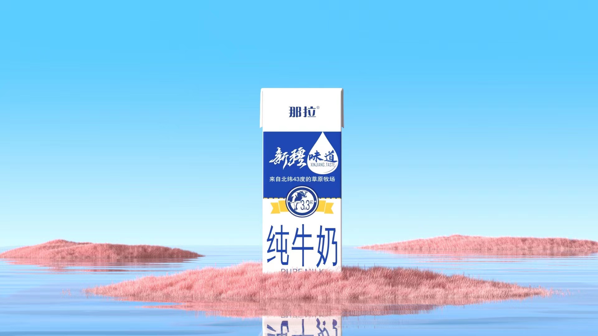 【上新了！】新品快來看看吧！